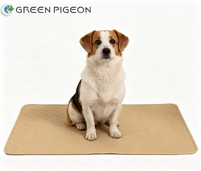 Biolagunevad treeningpadjad